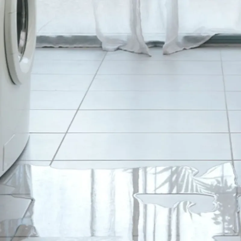 Appliance Leak Cleanup in Canoga Park, CA